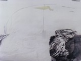 oiseau en équilibre
1995
fusain, aquarelle
et plâtre sur papier
60 x 50 cm